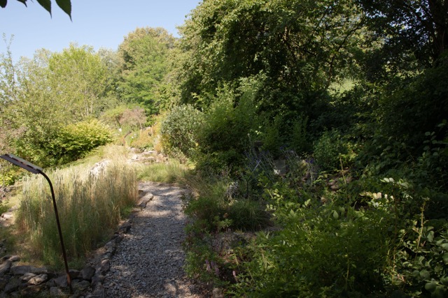 Wasser und Grün im Bibelgarten