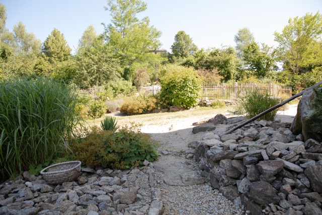 Pflanzen, Steine und Gartenwege im Bibelgarten Schweinhütt